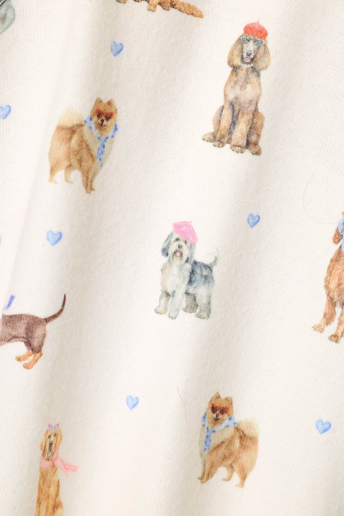 Meet Me in Pawris Dog Print Long Sleeve Top - IVORY